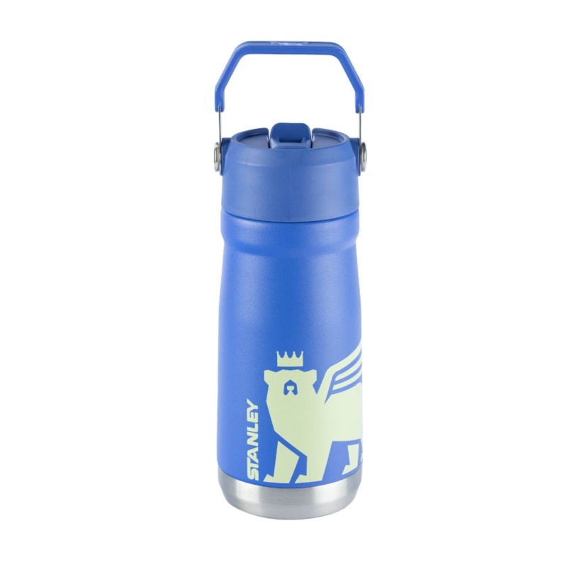 Garrafa Térmica Flip Straw Youth Stanley Iris | 500ML